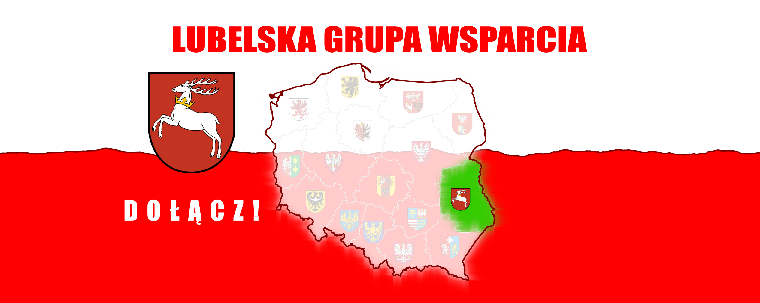 lubelskagrupawsparciabanerfb2